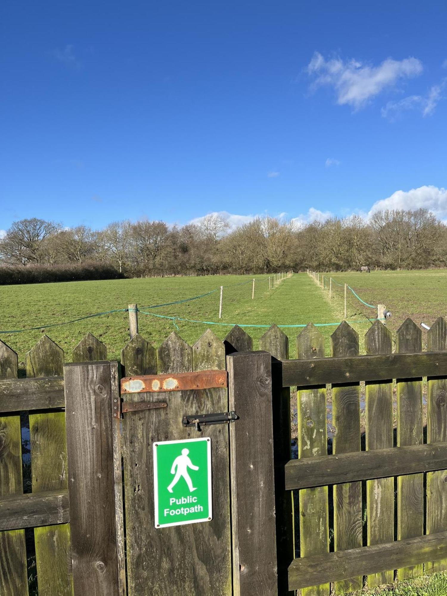 Priors Oak - A Cosy Studio With Countryside Views In Dorset Stalbridge Bagian luar foto